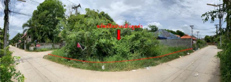 ไม้งาม เมืองตาก ตาก
