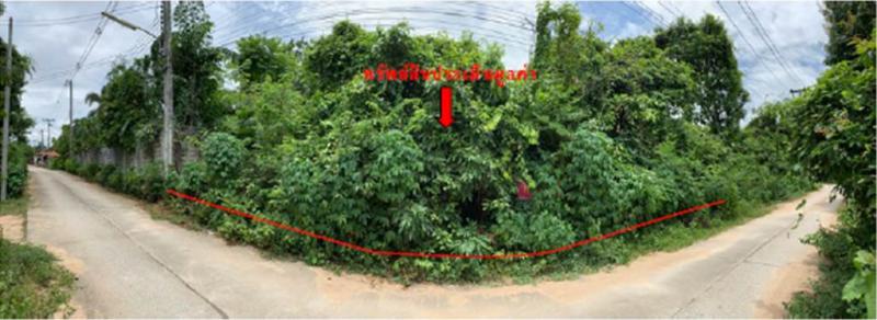 ไม้งาม เมืองตาก ตาก
